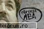 martie grila realitatea mea &nbsp; durata: difuzare: 19:20