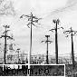 17 martie 2006 - Energie electrica - Informatii  de  piata  pentru  noi
