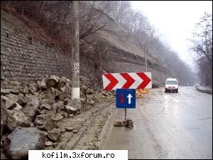 19 martie 2006 - kofilm - Informatii  de  presa
