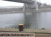 19 martie 2006 - Canalul Dunarea Marea Neagra - Social