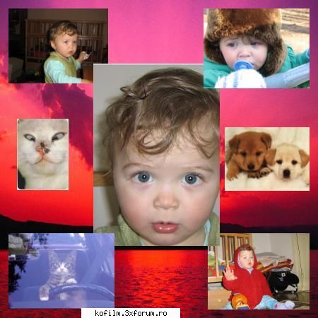 6 aprilie 2006 - Noi avem drepturi ? - Informatii  de  presa