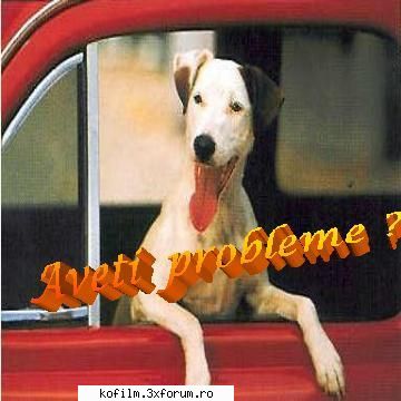 Viata-un amalgam de probleme - Raspundeti va rog - Cuvant  inainte
